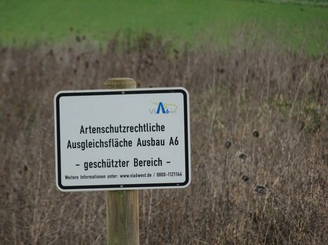 Schild Ausgleichsfläche.jpg