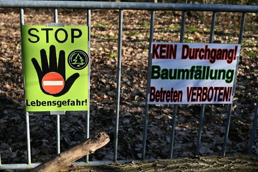Baumfällarbeiten.JPG