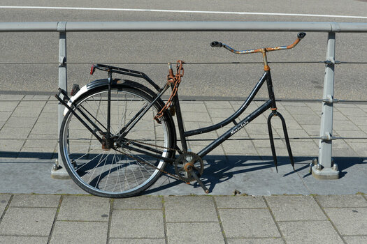 DSC_7269_DxO.jpg