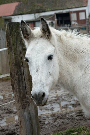 DSC_4936_DxO_DxO.jpg DSC_4936_DxO_DxO.jpg