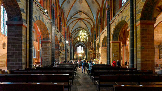 DSC_3231_DxO.jpg