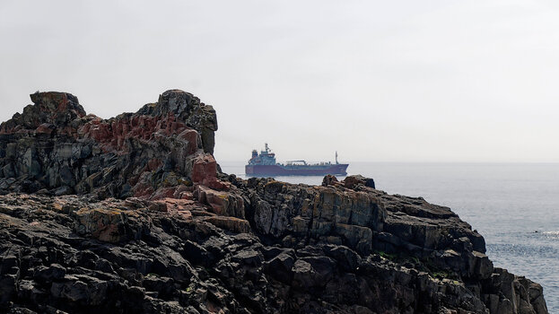 Jersey_126.jpg