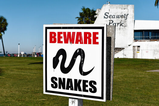 Snake-warning.jpg