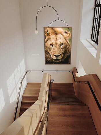 k_@HALBE - Bildmontage_Treppe -Einzelhaengung Stirnseite.jpg k_@HALBE - Bildmontage_Treppe -Einzelhaengung Stirnseite.jpg