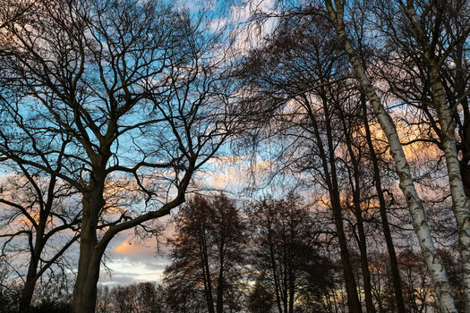 DSC_1676Hexe.jpeg