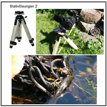 Drei Bilder: Produktbild Berlebach Holzstativ, daneben das Stativ im Einsatz mit Kamera, unten das Fotoergebnis Drei Bilder: Produktbild Berlebach Holzstativ, daneben das Stativ im Einsatz mit Kamera, unten das Fotoergebnis