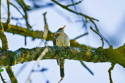 comp_DSC_3436.jpg