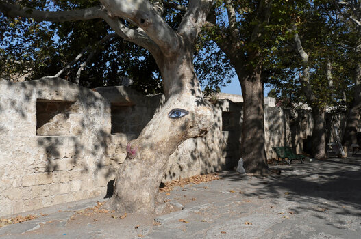 DSC_0668_DxO.jpg