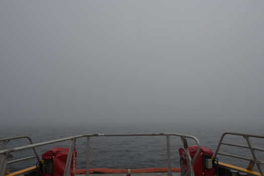 20230302_122512_nf.JPG