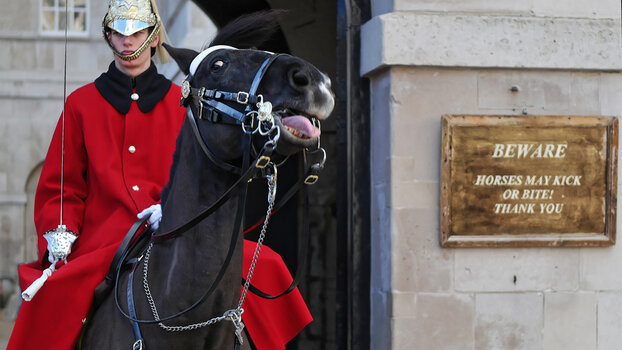 London_Horse-Guards_Schild_DxO-NF2.jpg