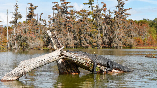 Lake-Martin_12_DxO.jpg