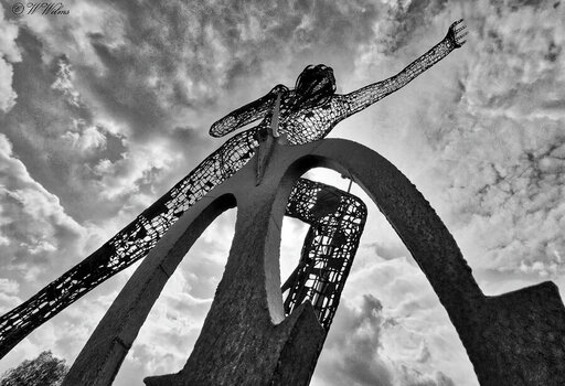 DSC_9809 - Kopie - Kopie_DxO.jpg