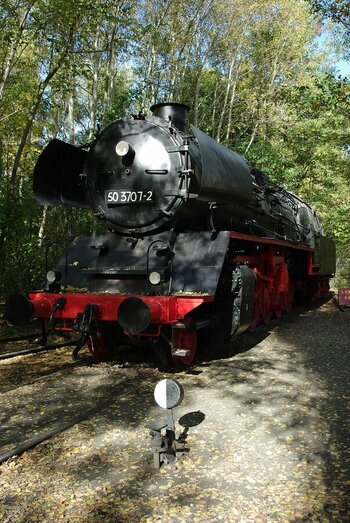 compIMGP7996.jpg
