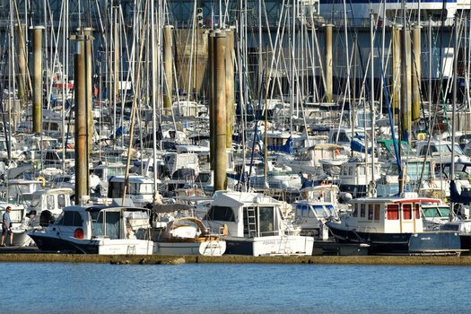 DSC_2938_0001.jpg