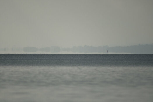 DSC_0922_0001.jpg