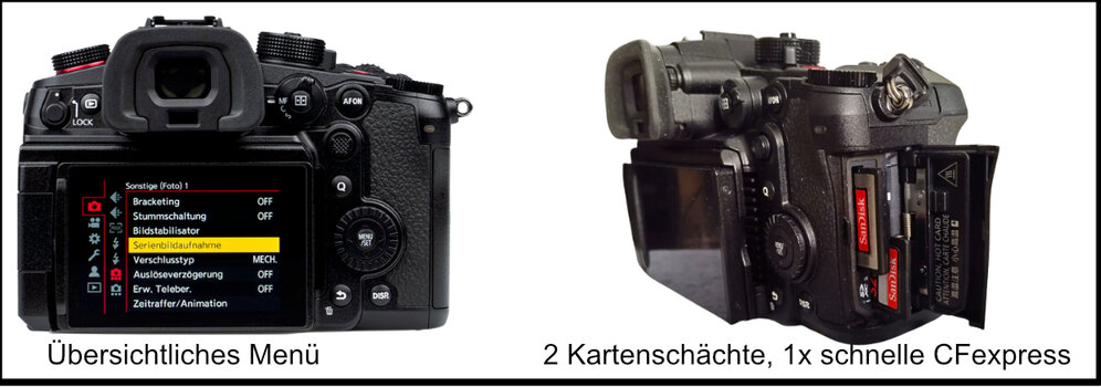 P-06.jpg