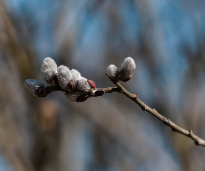 750_2244_DxO.jpg
