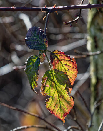 750_2247_DxO.jpg
