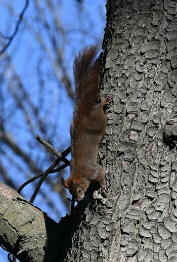 DSC_4704_DxO.jpg