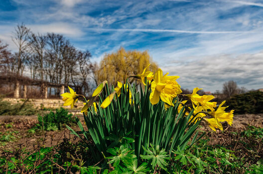 DSC_2940_DxO.jpg