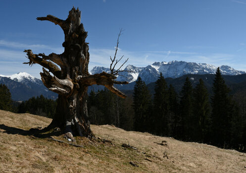 DSC_4255_0001.jpg