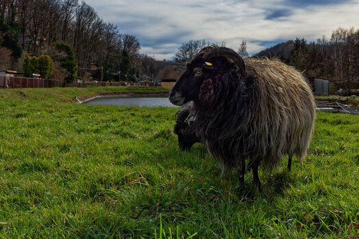 750_2422_DxO.jpg