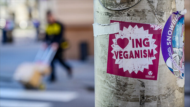 Vegan.jpg