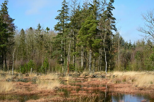 AZ7_0878.jpg