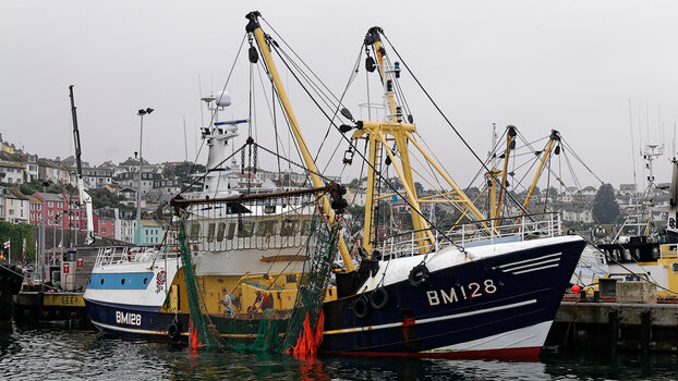 Brixham-(4)_DxO.jpg