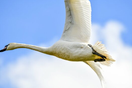 comp_DSC_3750.jpg