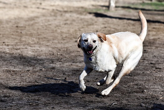 OLD 2023 -105.jpg