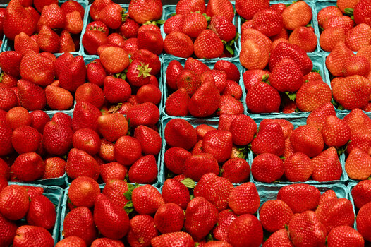 NYC-strawberries.jpg