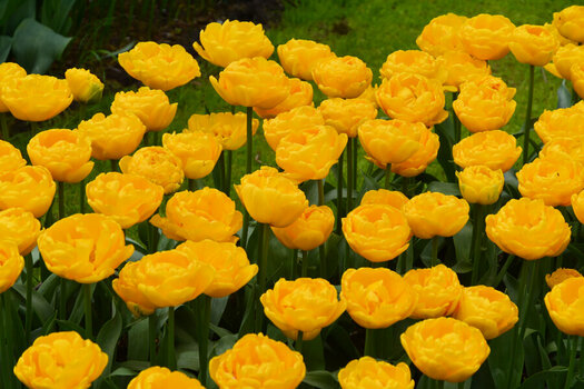 DSC_7330_DxO.jpg