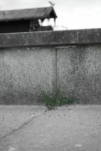 D7A63DE7-AFF8-4C1F-99B4-1723007893A7.jpeg