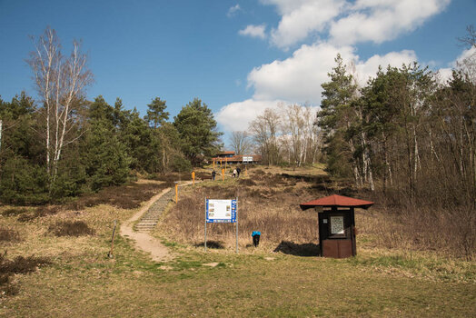 750_2531.jpg
