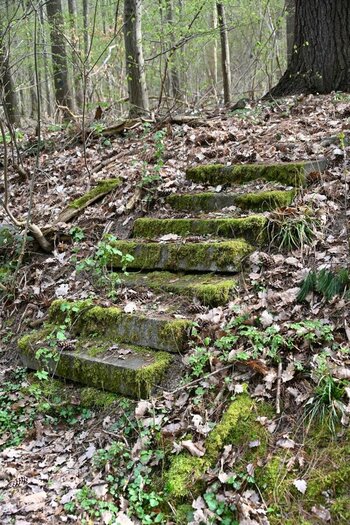 Treppe von nirgendwo ins nirgendwo.jpg