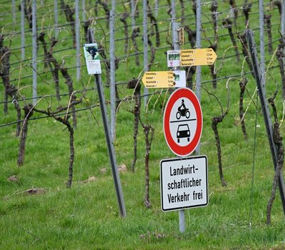 Schrumpfschild.jpg