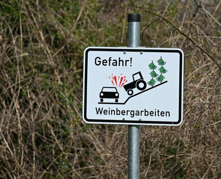 Weinbergarbeiten.jpg