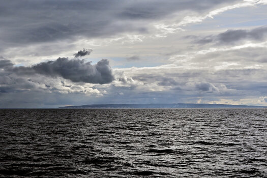 20230411_164013_nf.JPG