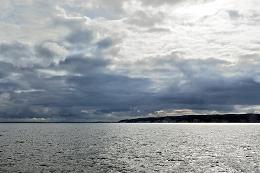 20230411_165247_nf.JPG