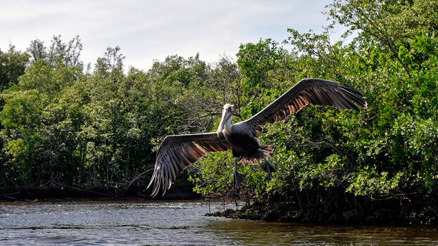 FL-Everglades_05.jpg