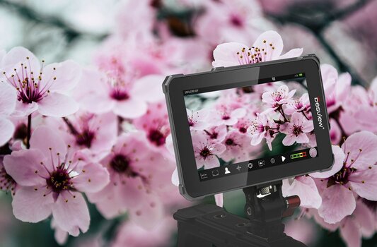 k_Rollei_Desview_V5_Field_Monitor_vor rosa Blueten.jpg k_Rollei_Desview_V5_Field_Monitor_vor rosa Blueten.jpg
