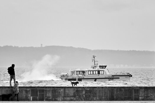 20230412_160538_nf.JPG