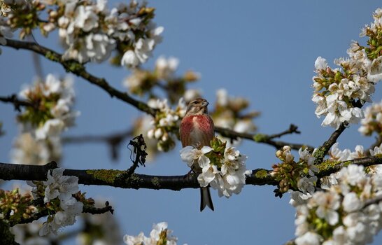 comp_DSC_3831.jpg
