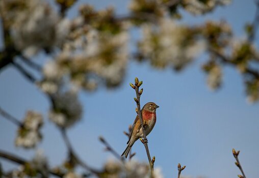 comp_DSC_3844.jpg
