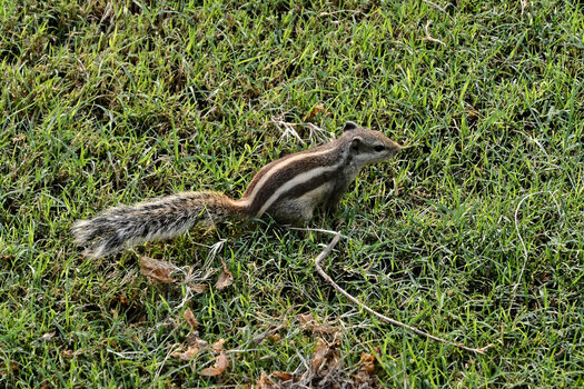 DSC_7301_DxO.jpg