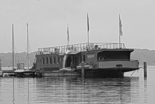 comp.IMGP8161.A1-SW.jpg