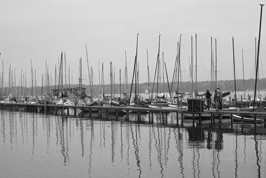 comp.IMGP8192.jpg