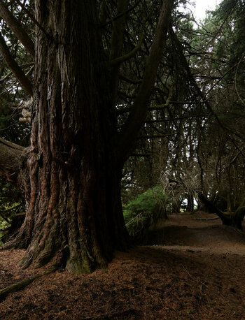 DSC_4378_0001.jpg
