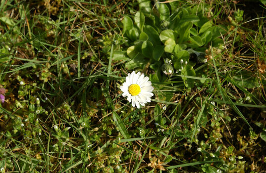 DSC_0017.JPG